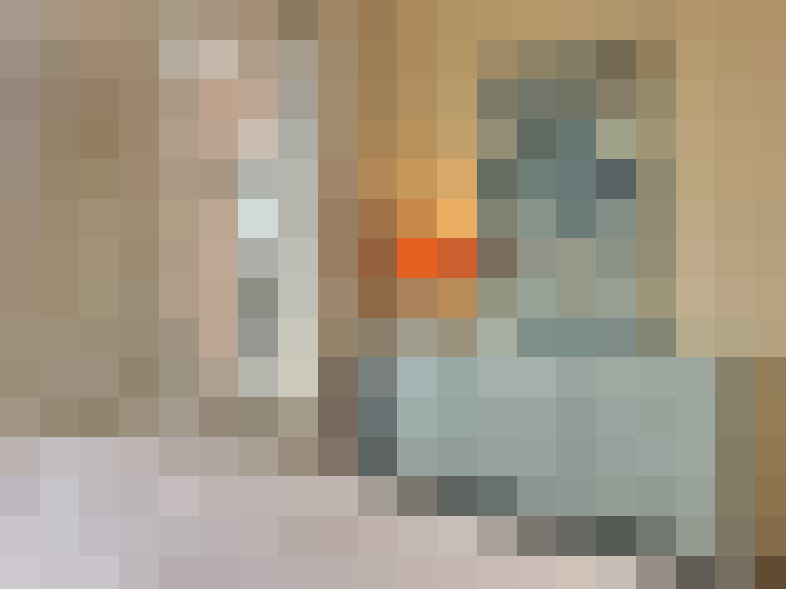  / #23