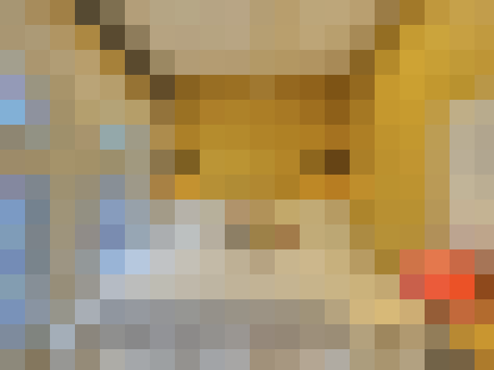  / #33