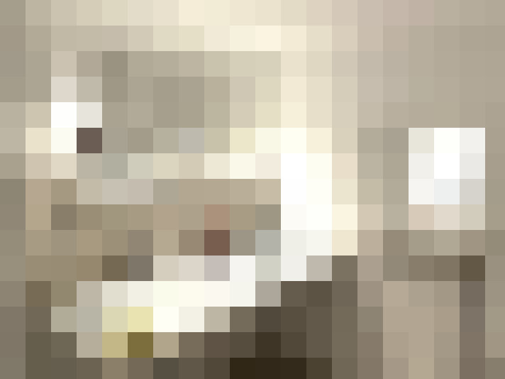  / #15