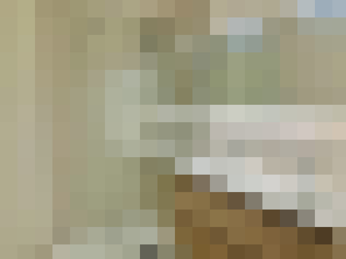 / #6