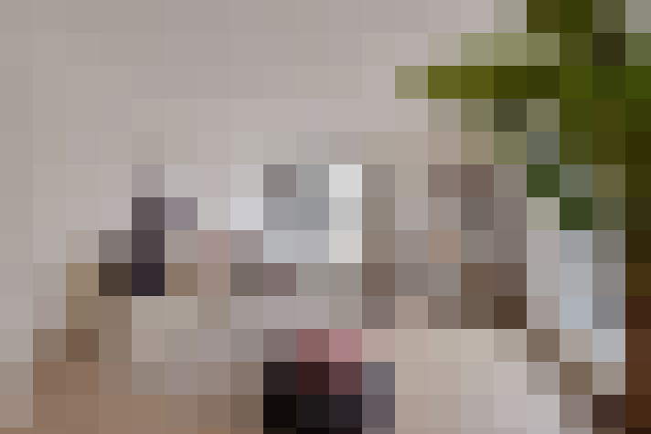  / #14