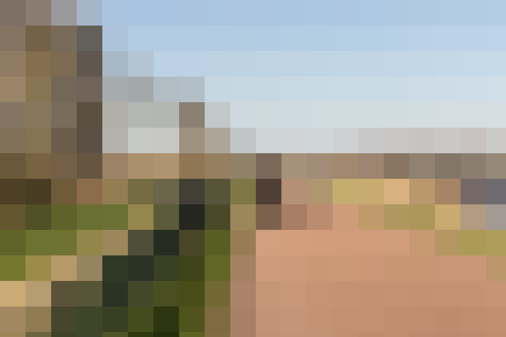  / #69