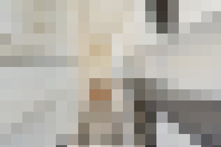 / #24