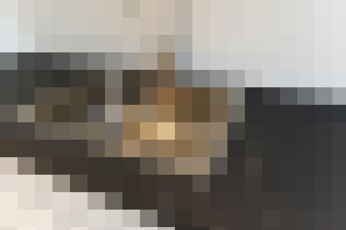  / #23
