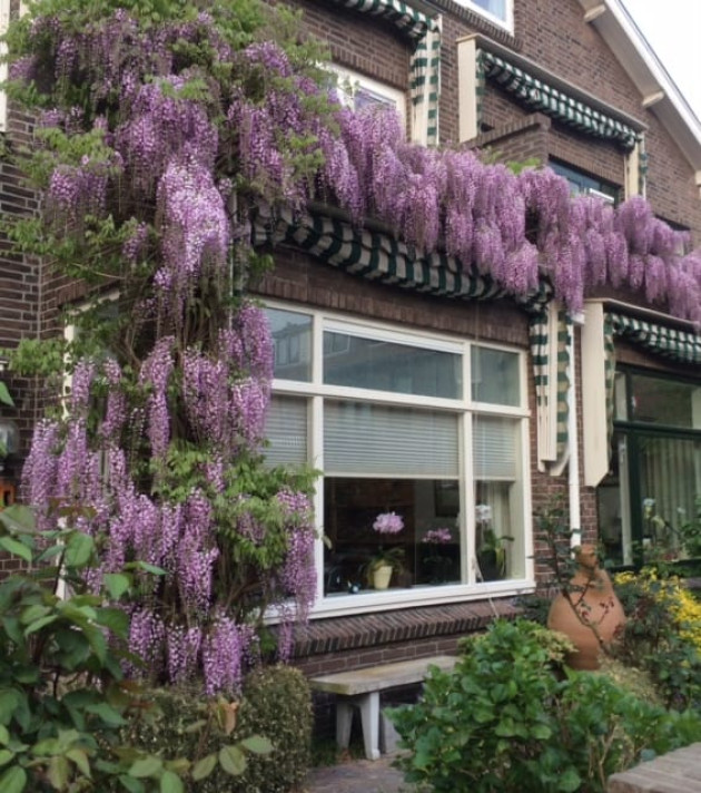 Bekijk foto 1/5 van house in Leidschendam-Voorburg