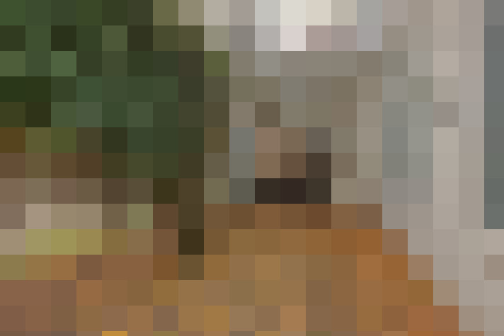  / #57