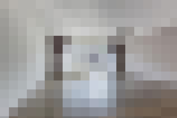  / #43
