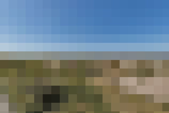  / #83