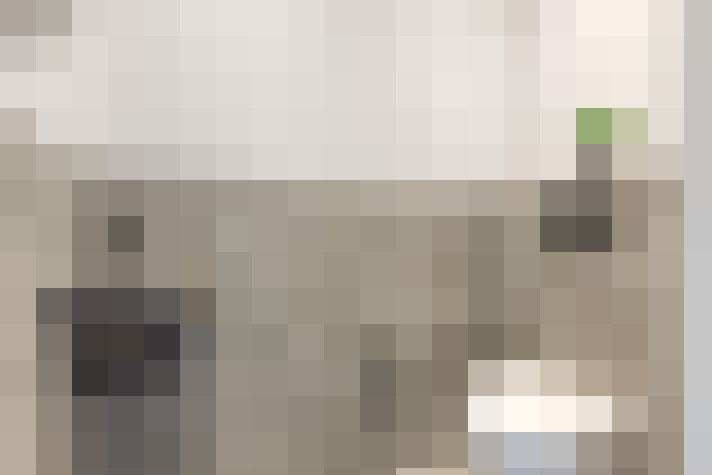  / #66