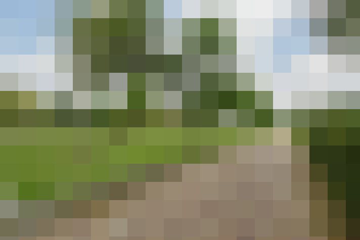  / #59
