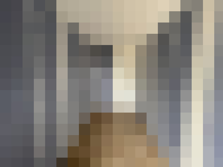  / #18