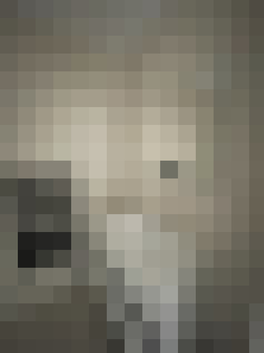  / #24