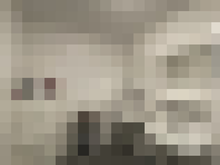  / #33