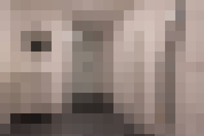  / #6