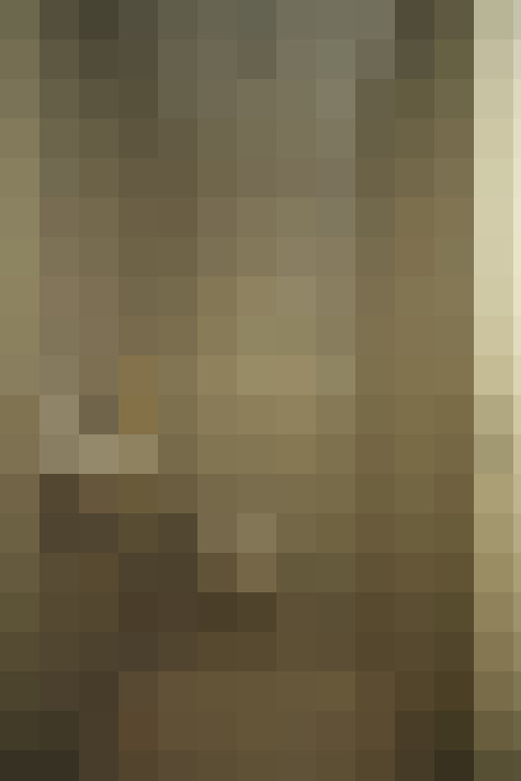  / #68