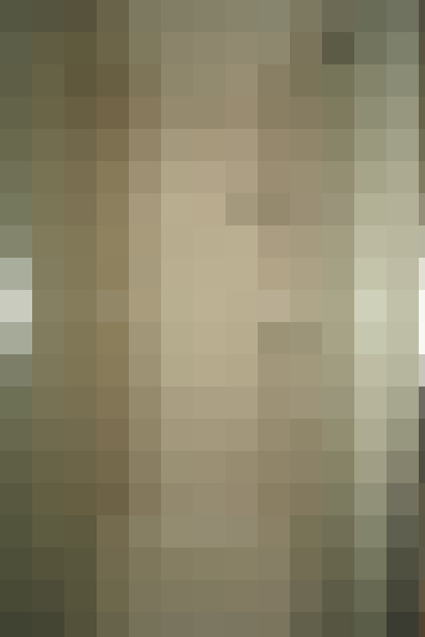  / #66
