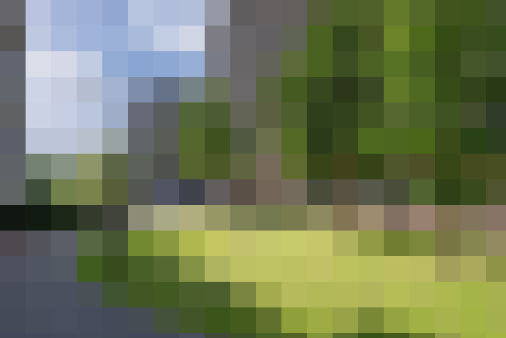  / #14