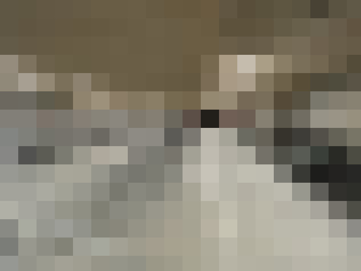  / #11