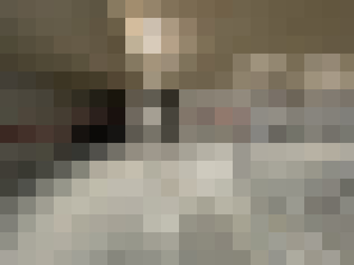  / #19