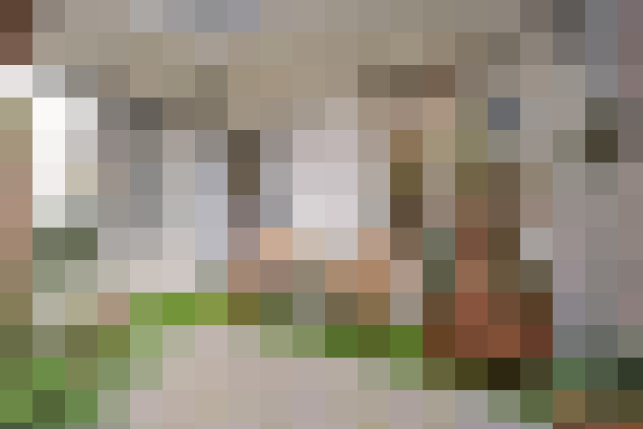  / #13