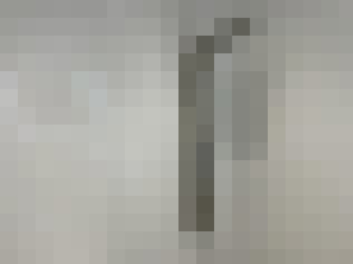  / #15
