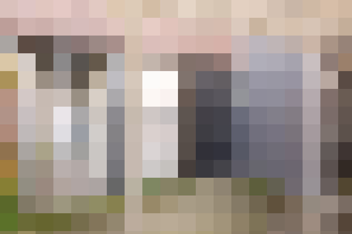  / #81