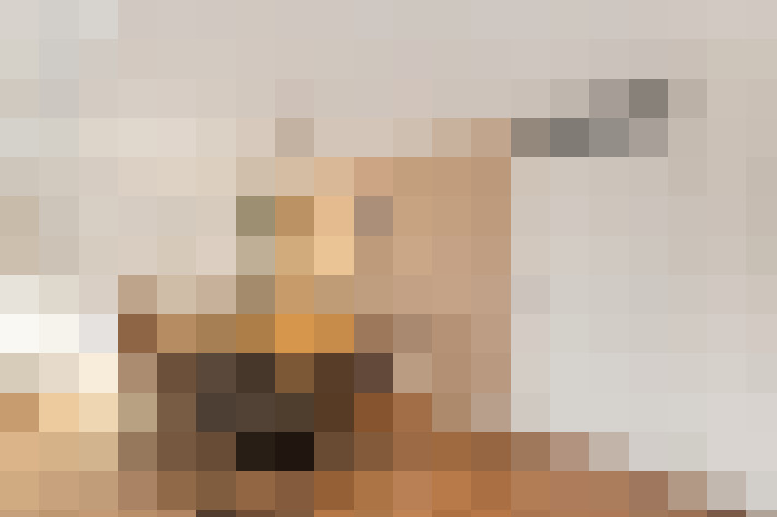  / #21