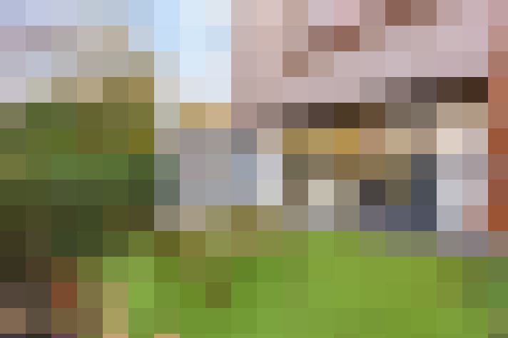  / #61