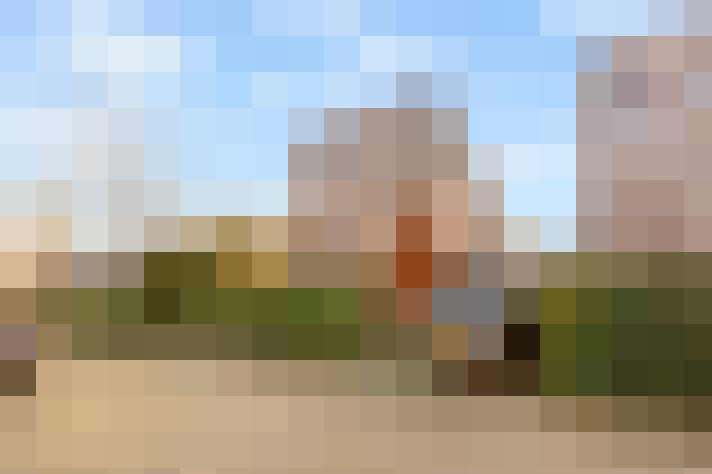  / #83