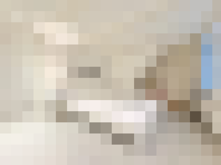  / #19