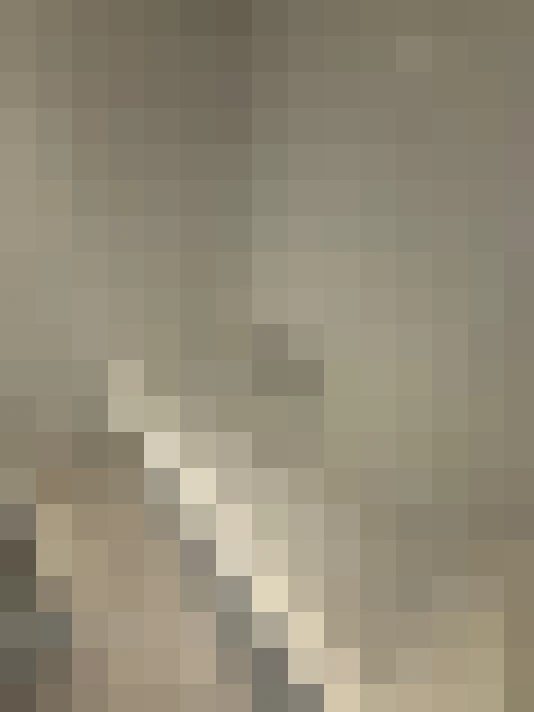  / #26