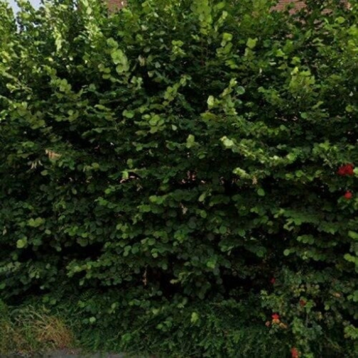 Bekijk foto 1/1 van house in Almelo