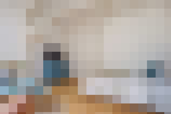  / #14