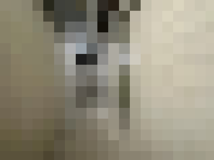  / #11