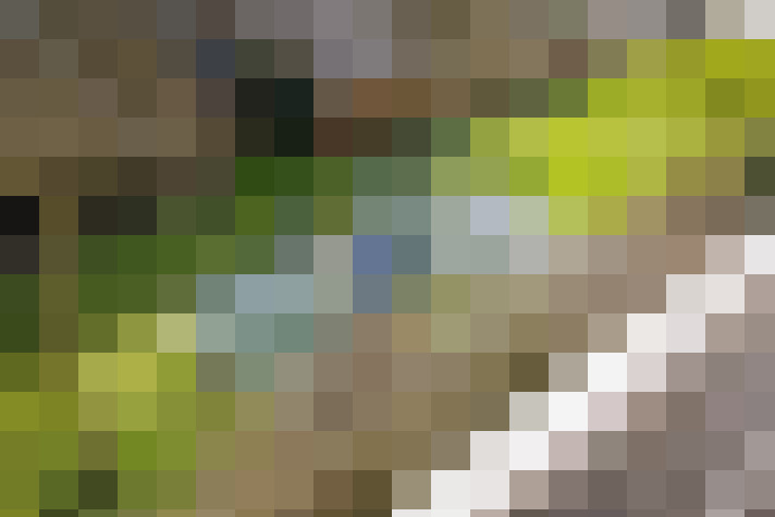  / #19