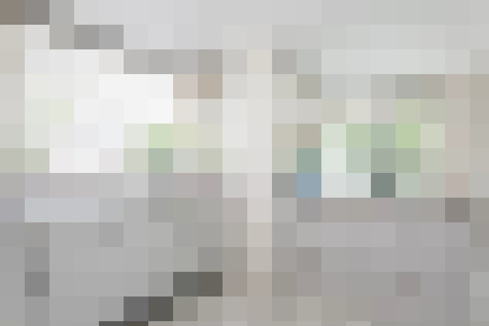  / #61