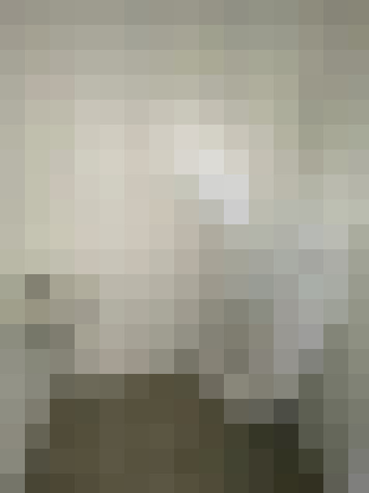  / #24