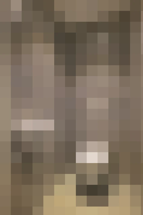  / #26