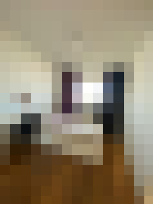  / #11