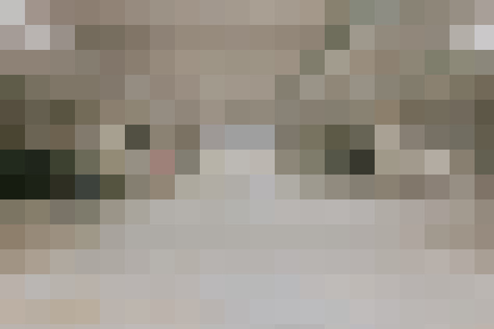  / #17