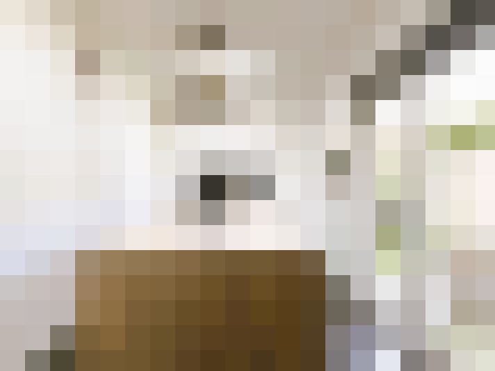  / #17