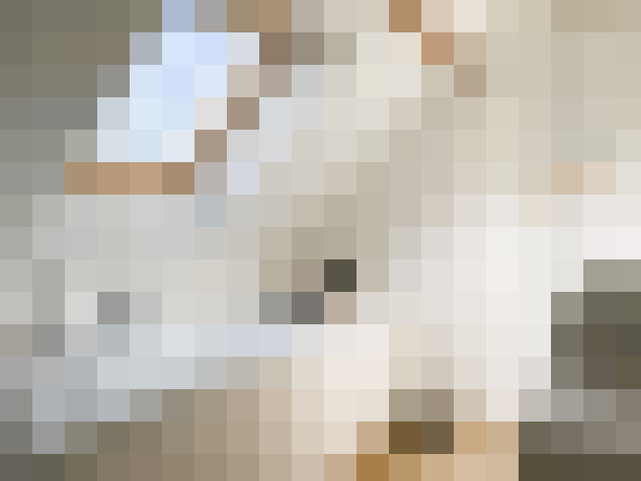  / #22