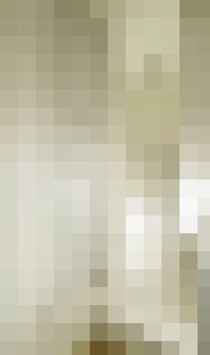  / #24