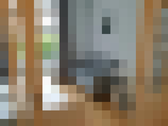  / #11