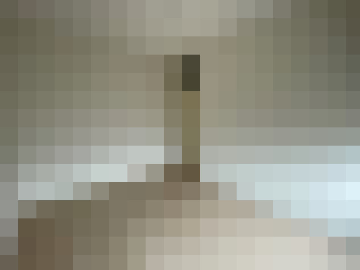  / #14