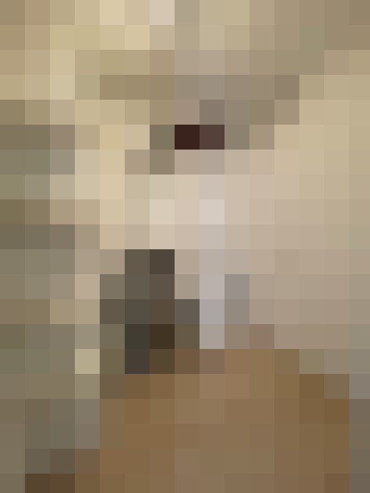  / #10