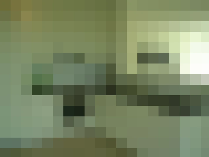  / #23