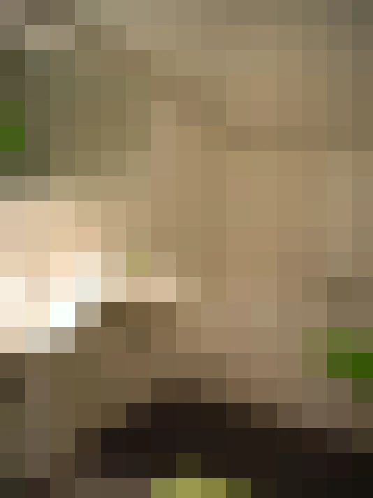  / #14