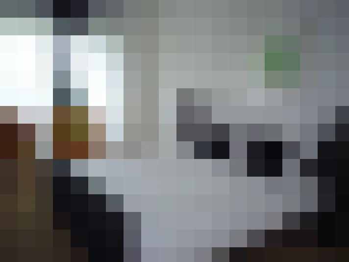  / #17