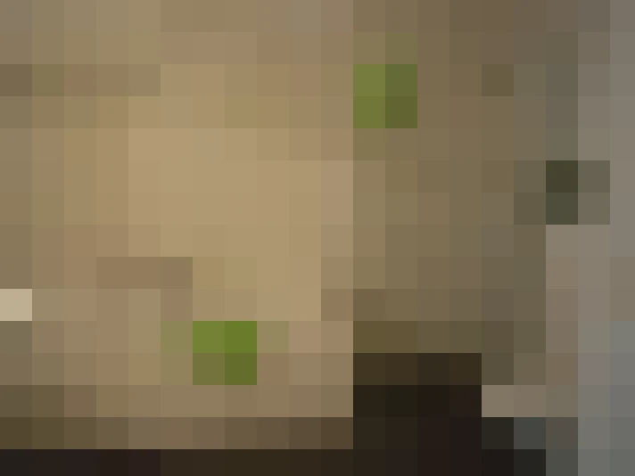  / #13